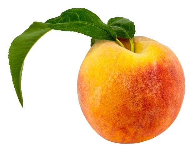 Peach with leaf isolated.