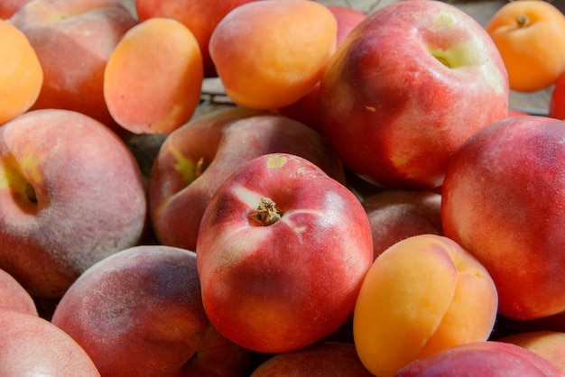 Photo peaches and apricots