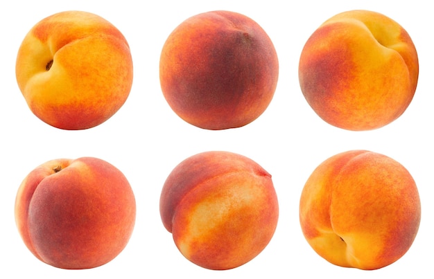 Peaches isolated. Collection of ripe peaches.