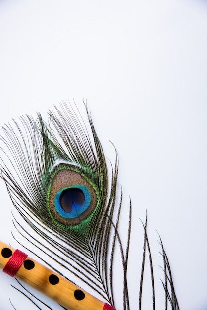 カラフルな背景の上の孔雀の羽とバンブーフルート