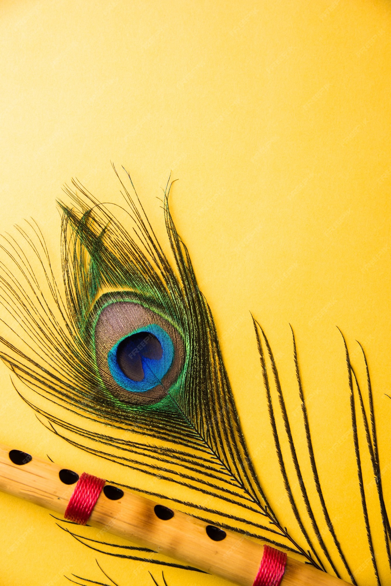 Premium Photo | Peacock feather and bamboo flute over colourful background Premium Photo | Peacock feather and bamboo flute over colourful background