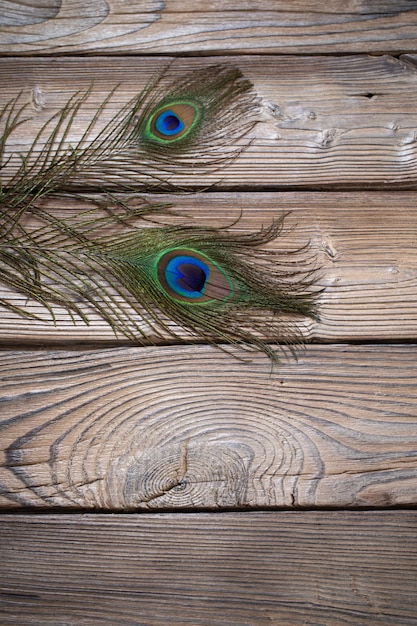 Peacock feather on old wooden background