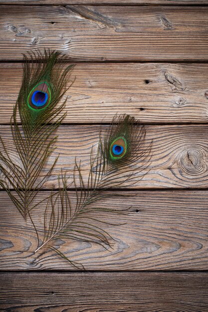 Peacock feather on old wooden background