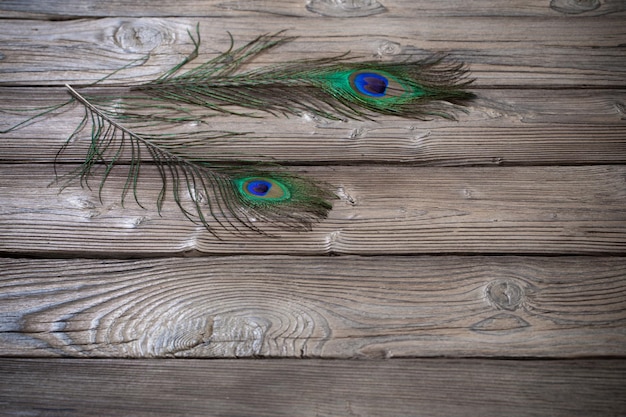 Peacock feather on old wooden background