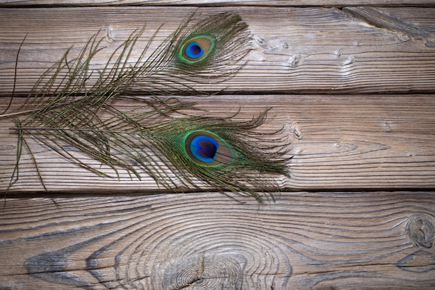 Peacock feather on old wooden background