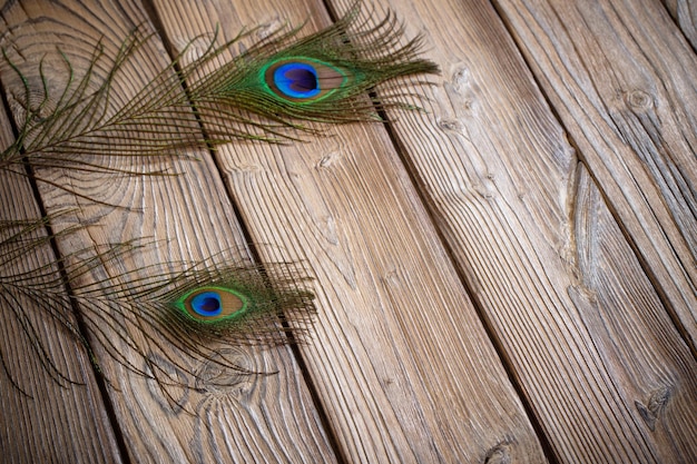 Peacock feather on old wooden background