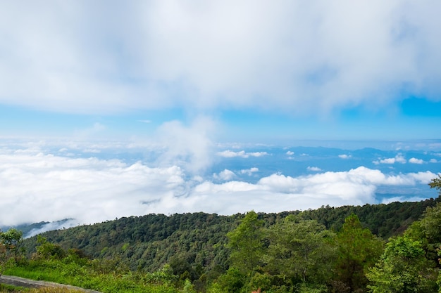 Picco di montagna verde bianco nebbia nuvola scenica