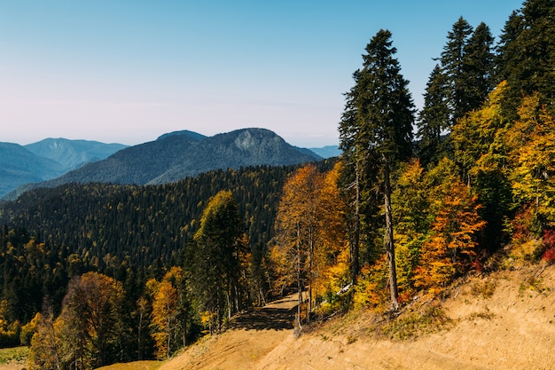 The peak of high mountains. Bright day sun in the mountain autumn forest