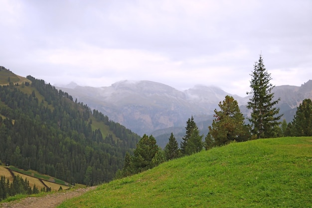 The peaks of the Dolomites in Italy are covered in fog Early wet foggy morning Beginning of autumn Clean fresh air lack of people Selective focus