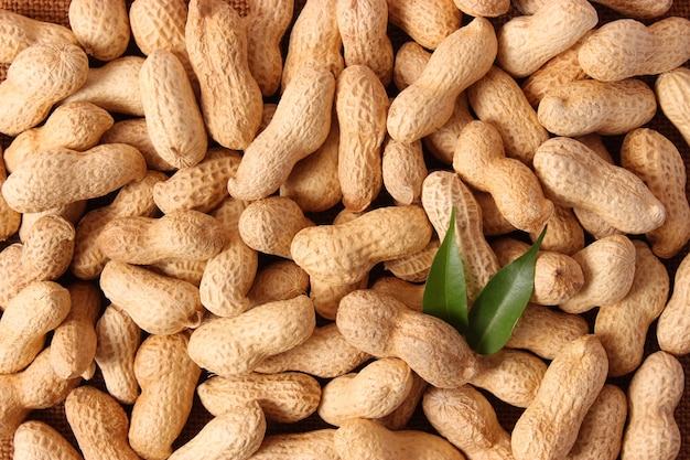 Peanuts on a light background closeup nuts