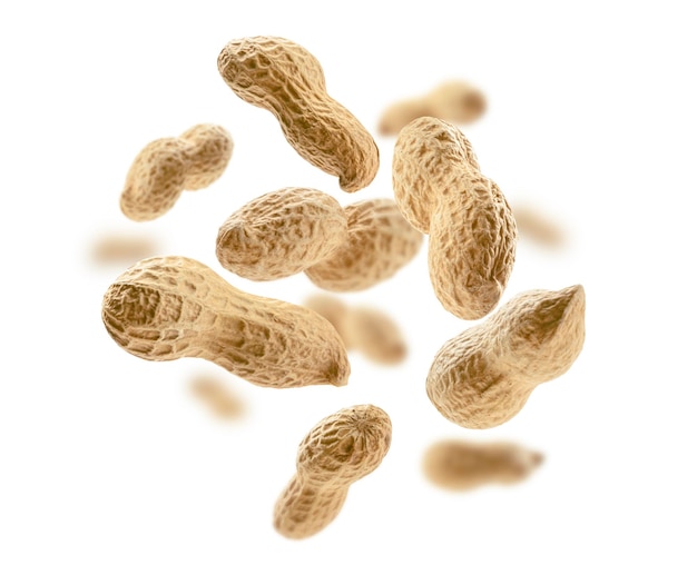 Photo peanuts in the shell levitate on a white background