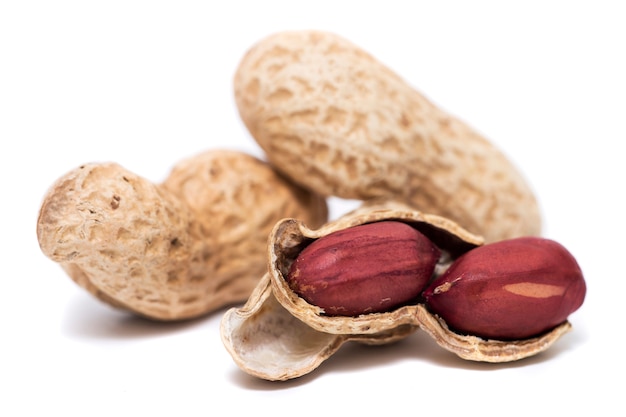 Peanuts on a white background