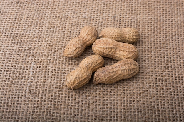 Peanuts with shell on a linen canvas background