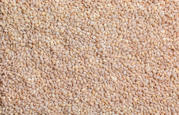 パール・バーリー (Pearl Barley) の背景は近視 (close-up) であるパール・バーリーは近視 (closed-up) で穀物の質感 (grain texture) が高視 (top view) されている