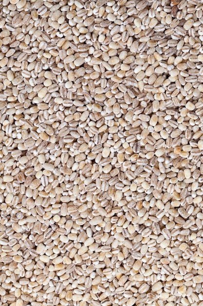 Pearl barley for cooking porridge, cereals are scattered in dishes on the table, cheap pearl barley is made from barley