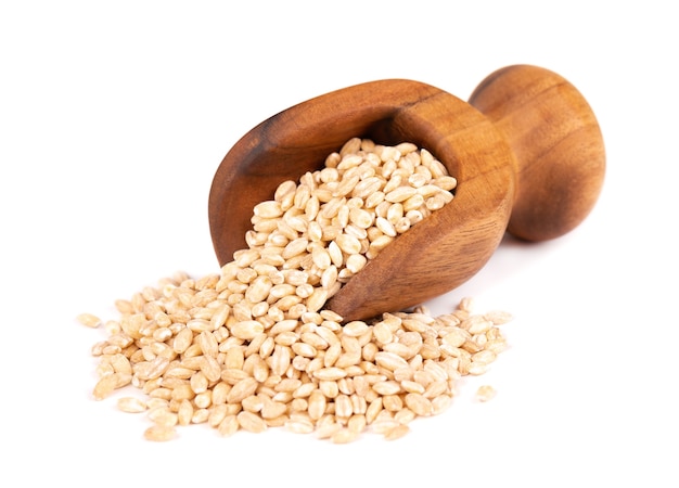 Pearl barley grains in wooden scoop, isolated on white background. Barley seed close up.