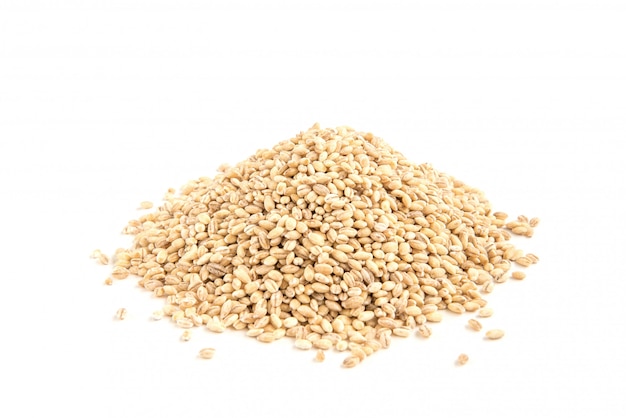 Pearl barley isolated closeup