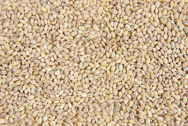 Pearl barley isolated top view