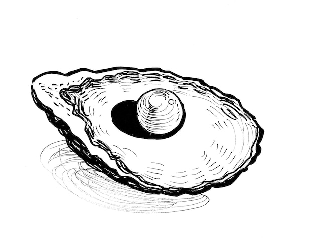 Pearl in the shell. Ink black and white drawing