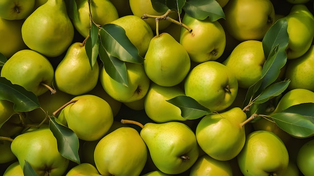 Pears in a french countryside market fresh and juicy