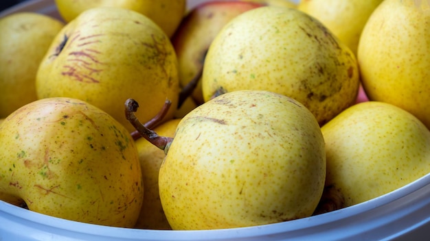 Foto pera frutti raccolti in primo piano