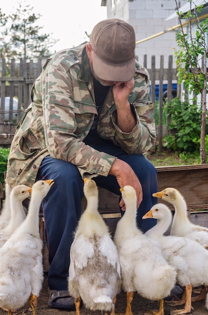 Peasant in the courtyard of a rural house with his geese