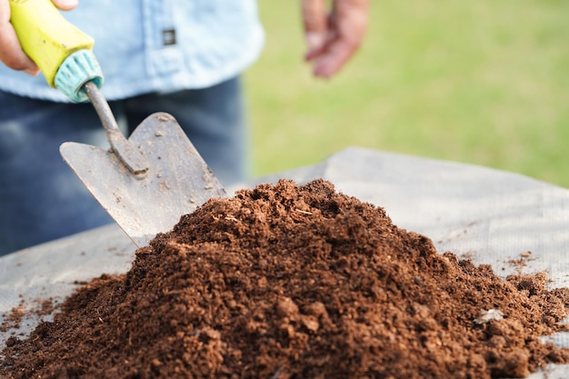 Peat moss fertilizer soil for organic agriculture plant growing ecology concept