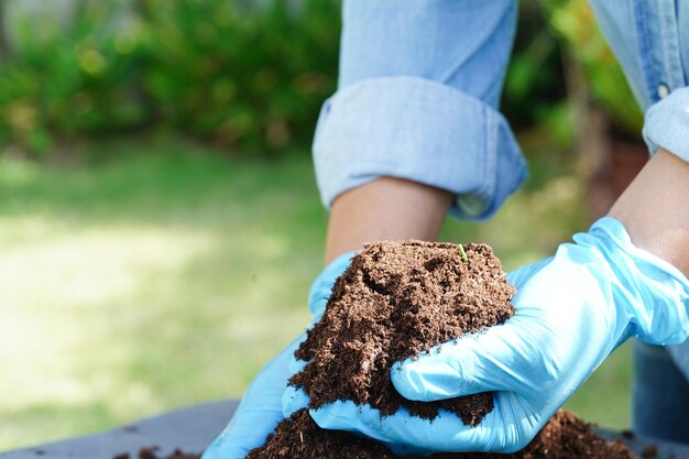 Peat moss fertilizer soil for organic agriculture plant growing ecology concept