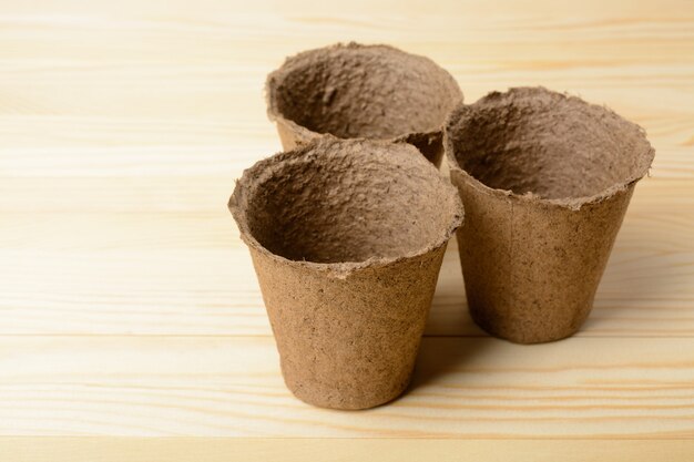 Peat pots for seedlings