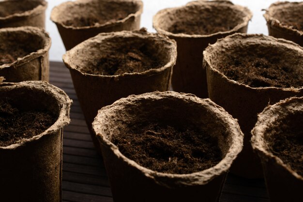 Peat pots with soil