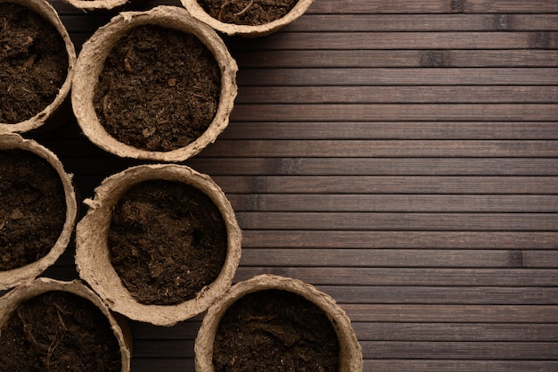 Peat pots with soil