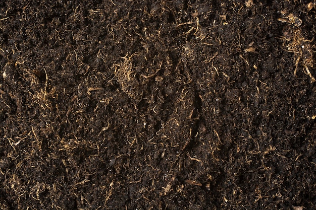 泥炭のテクスチャーをクローズアップ天然肥料