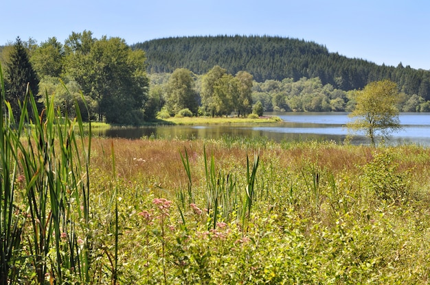 Peatland  of the Morvan (France)