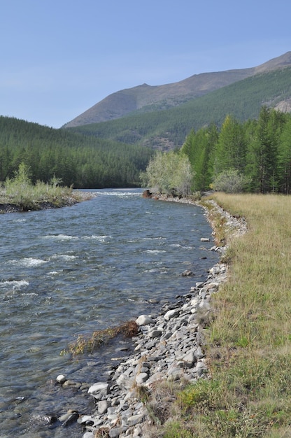 Pebble Bank of a mountain river