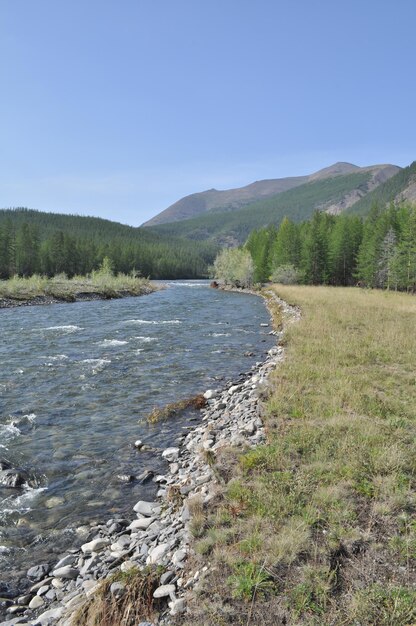 Pebble Bank of a mountain river