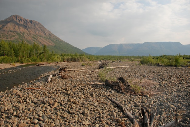 Direzione di ghiaia del fiume di montagna