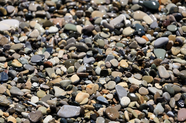 Pebble kust in de zomer. strand. Hoge kwaliteit foto