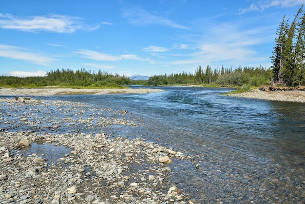 Pebble on the northern river