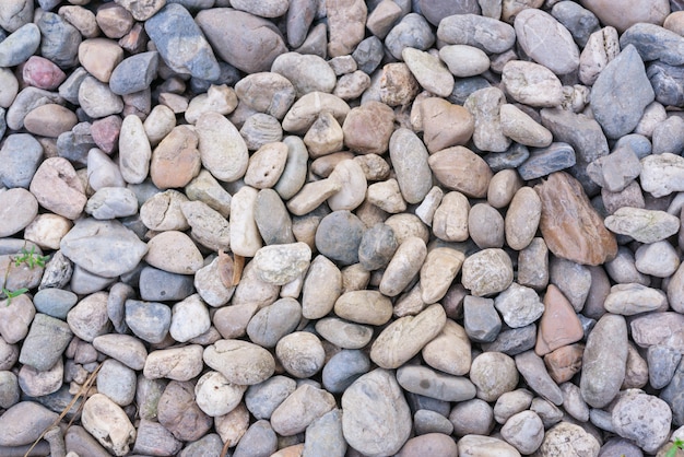  pebble path walkway  as background.