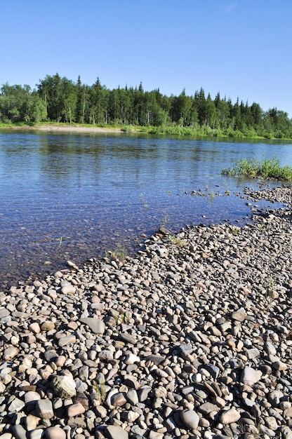 Pebble river bed