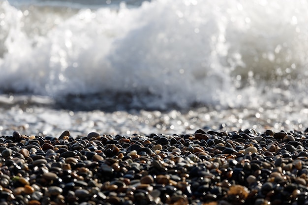 Pebble sea shore in summer. beach. High quality photo