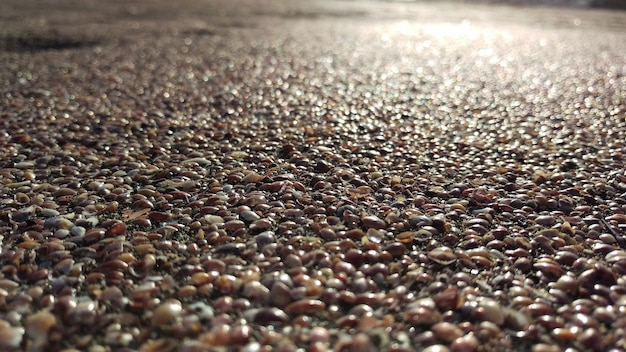 Photo pebble stones at beach