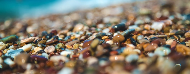 Pebbles on the beach by the sea. Selective focus. Nature.