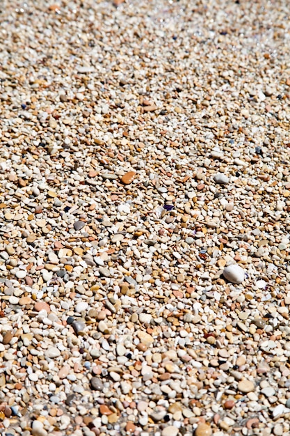 Ciottoli su una spiaggia