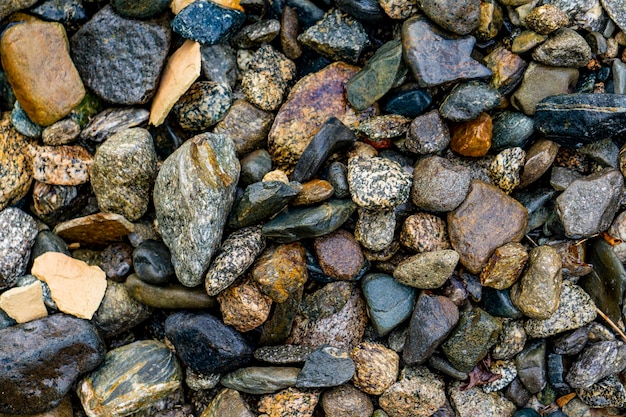 海岸に小石
