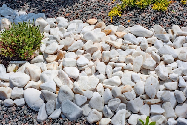 Pebbles small white stones the texture of the stone flower bed\
design garden decor with green plant