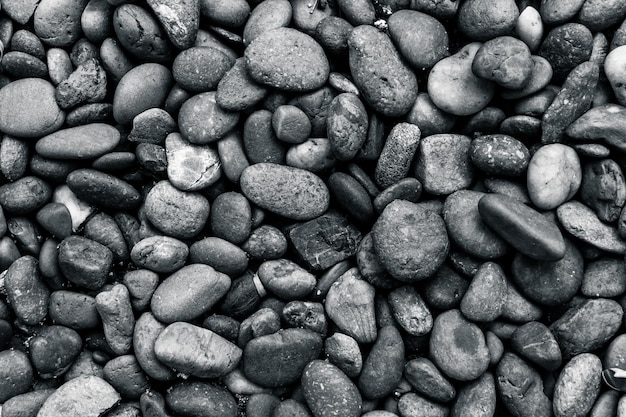 Pebbles stone background with black and white filter