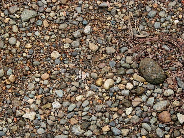 Pebbles and stones on the ground