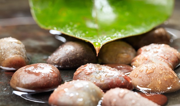 Pebbles in water background