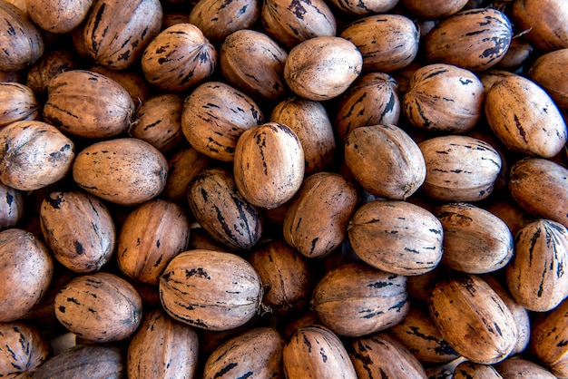 Pecan nut texture background. Top view.